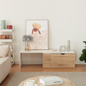 Tavolino Estensibile Österåker Mobile Basso con Anta a Ribalta - Effetto Legno / Bianco [en.casa]