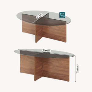 Tavolino Viroya 100x60x36 cm effetto noce/grigio [en.casa]