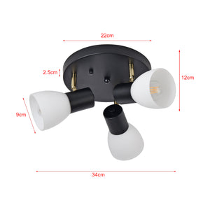 Plafoniera Abbey Nero / Bianco [lux.pro]