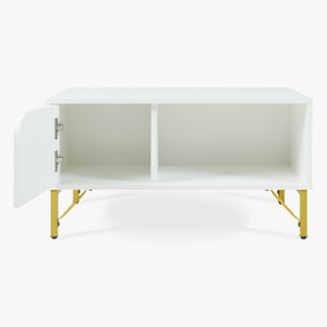 Tavolino Centrale da Salotto Reyri Tavolo Basso con Scomparti e Anta 80x45x42 cm Bianco / color Oro [en.casa] 