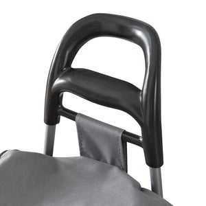 Carrello della spesa pieghevole Aaby 36 L [en.casa]