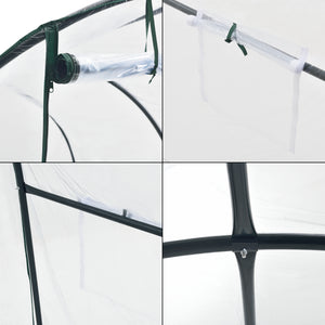 Tunnel per serra Grünwald 200x300x190cm PVC Trasparente [en.casa]