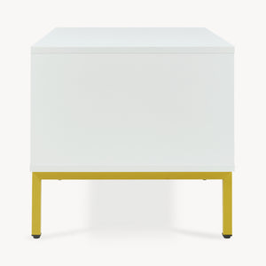 Tavolino Centrale da Salotto Reyri Tavolo Basso con Scomparti e Anta 80x45x42 cm Bianco / color Oro [en.casa] 