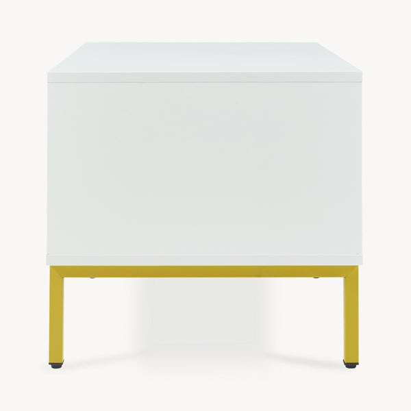 Tavolino Centrale da Salotto Reyri Tavolo Basso con Scomparti e Anta 80x45x42 cm Bianco / color Oro [en.casa] 