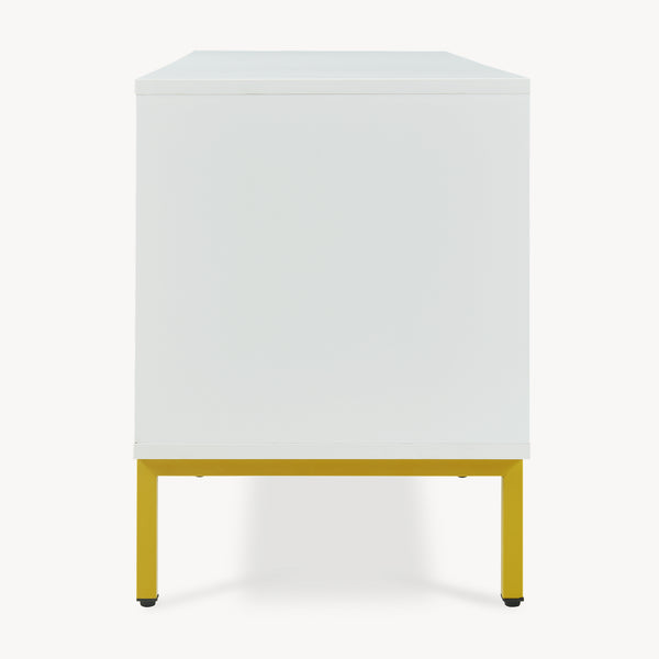 Mobile Porta TV Reyri a 2 Ante e 2 Vani Aperti 120 x 39 x 52 cm - Bianco/Dorato [en.casa]