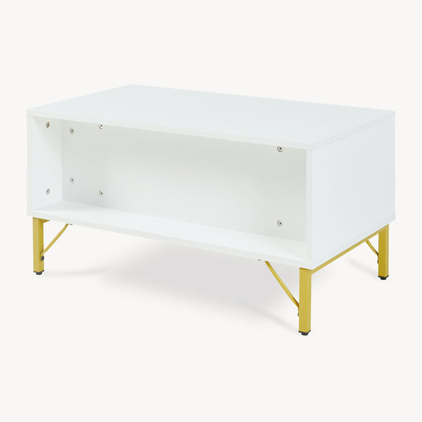 Tavolino Centrale da Salotto Reyri Tavolo Basso con Scomparti e Anta 80x45x42 cm Bianco / color Oro [en.casa] 