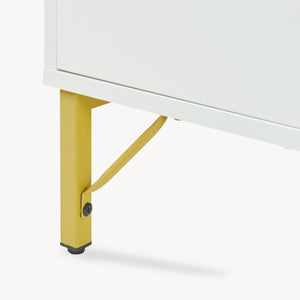 Tavolino Centrale da Salotto Reyri Tavolo Basso con Scomparti e Anta 80x45x42 cm Bianco / color Oro [en.casa] 