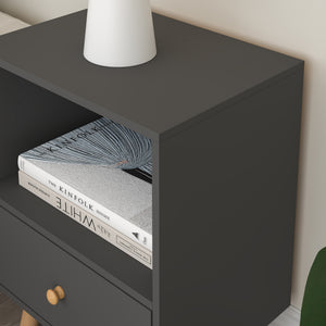 Set di 2 Comodini Sundsvall con Cassetto e Scomparto [en.casa] 