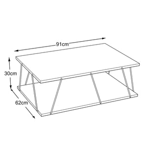 Tavolino da Salotto Tavolino Basso da Caffè 91 x 62 x 30 cm Tavolino Rettangolare con 2 Piani di Appoggio - Vari Colori [en.casa]