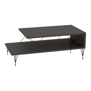 Tavolino Centrale Asker con 2 Piani 100 x 50 x 40 cm - Vari Colori [en.casa]