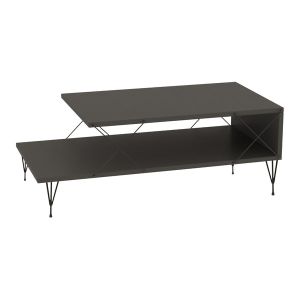 Tavolino Centrale Asker con 2 Piani 100 x 50 x 40 cm - Vari Colori [en.casa]