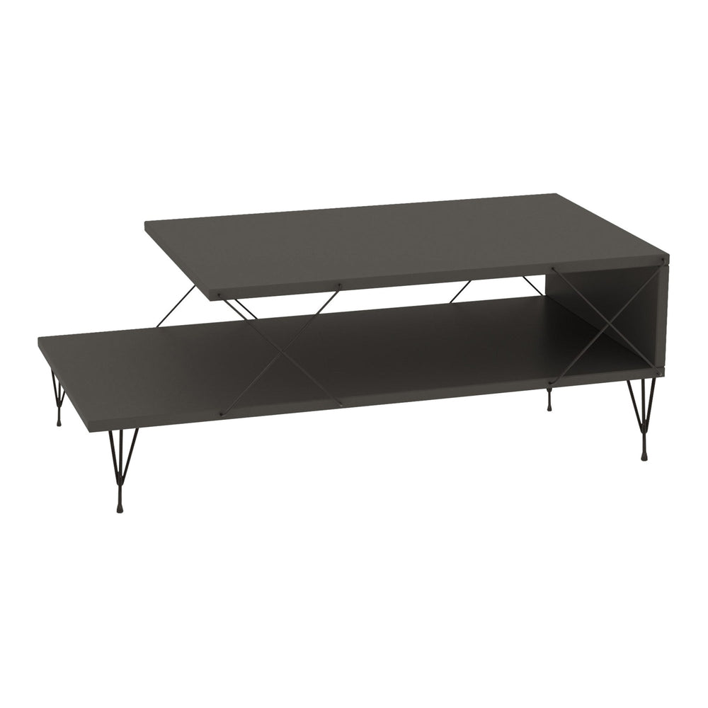 Tavolino Centrale Asker con 2 Piani 100 x 50 x 40 cm - Vari Colori [en.casa]
