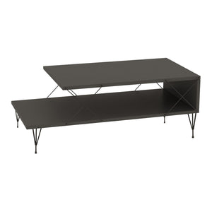 Tavolino Centrale Asker con 2 Piani 100 x 50 x 40 cm - Vari Colori [en.casa]