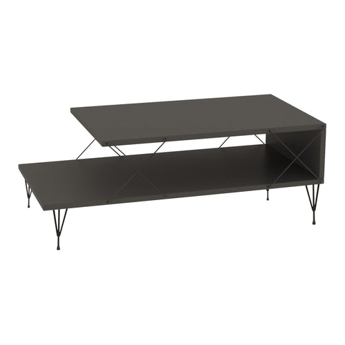 Tavolino Centrale Asker con 2 Piani 100 x 50 x 40 cm - Vari Colori [en.casa]