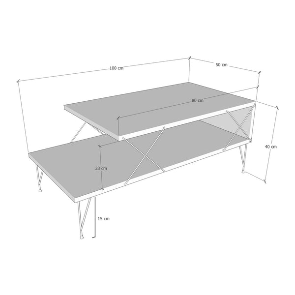 Tavolino Centrale Asker con 2 Piani 100 x 50 x 40 cm - Vari Colori [en.casa]