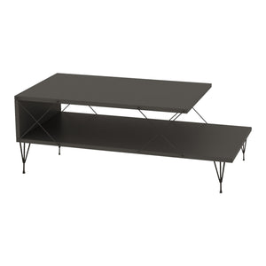 Tavolino Centrale Asker con 2 Piani 100 x 50 x 40 cm - Vari Colori [en.casa]