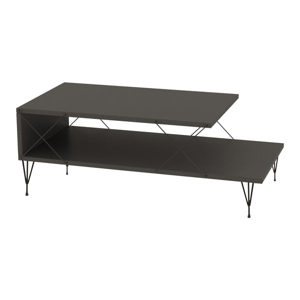 Tavolino Centrale Asker con 2 Piani 100 x 50 x 40 cm - Vari Colori [en.casa]