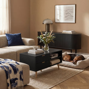 Tavolino da Salotto Nand con 2 Cassetti e 3 Scomparti Aperti 100 x 50 x 45 cm [en.casa] 