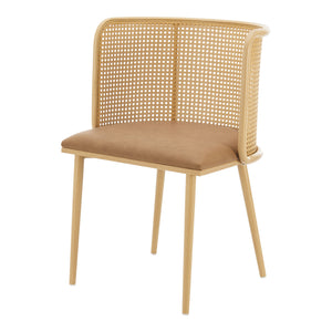 Sedia da pranzo Flen set da 2 in vari colori [en.casa]