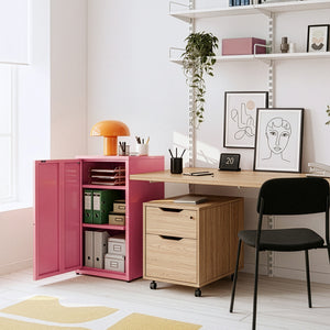 Armadio a Colonna Burlöv in Metallo Mobile per Archivio 88 x 40 x 35 cm - Vari Colori [en.casa] 