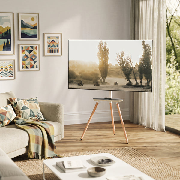 Supporto TV Valle con ripiano [pro.tec]