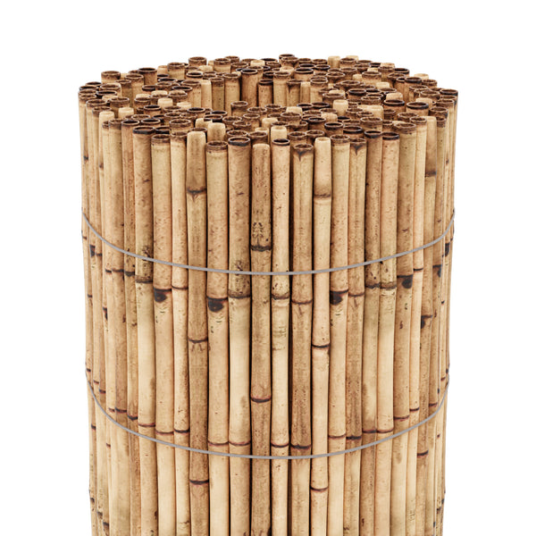 Stuoia di canne Allzio in varie dimensioni [casa.pro]