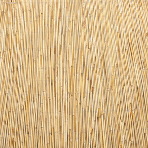 Recinzione Frangivista Abbateggio in Canna Naturale casa.pro 