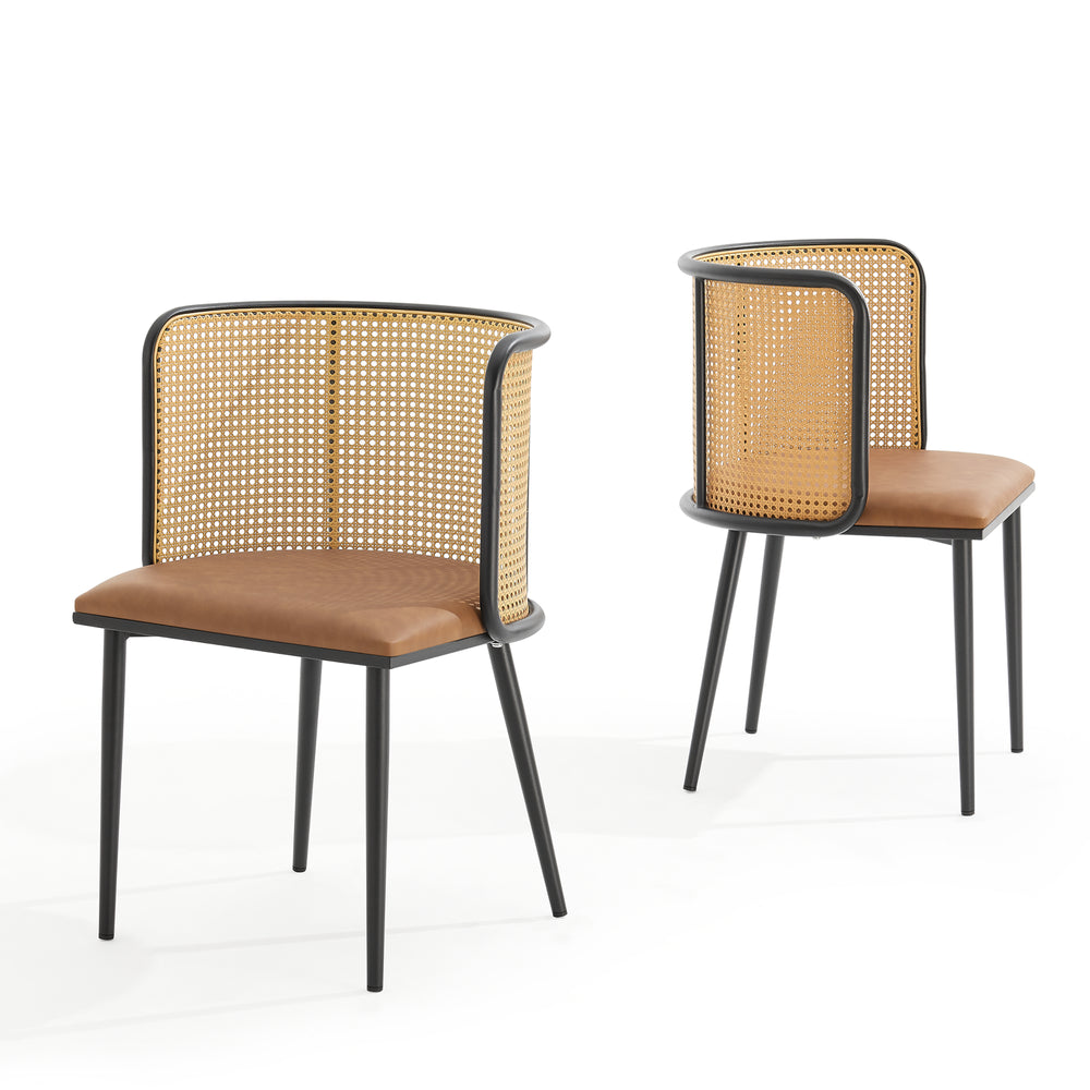 Sedia da pranzo Flen set da 2 in diversi colori [en.casa] - premiumXL