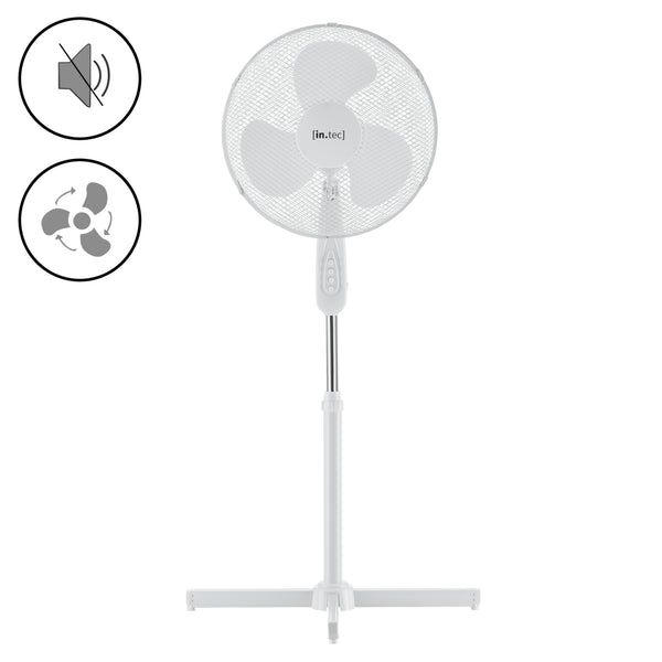 Ventilatore da terra Antrim Ø 41 cm con 3 velocità in diversi colori en.casa