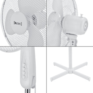 Ventilatore da terra Antrim Ø 41 cm con 3 velocità in diversi colori en.casa