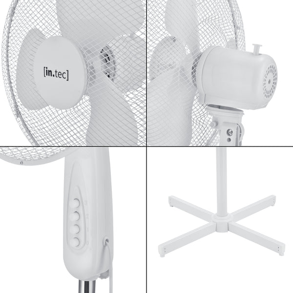 Ventilatore da terra Antrim Ø 41 cm con 3 velocità in diversi colori en.casa