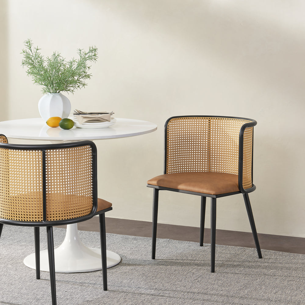 Sedia da pranzo Flen set da 2 in diversi colori [en.casa] - premiumXL